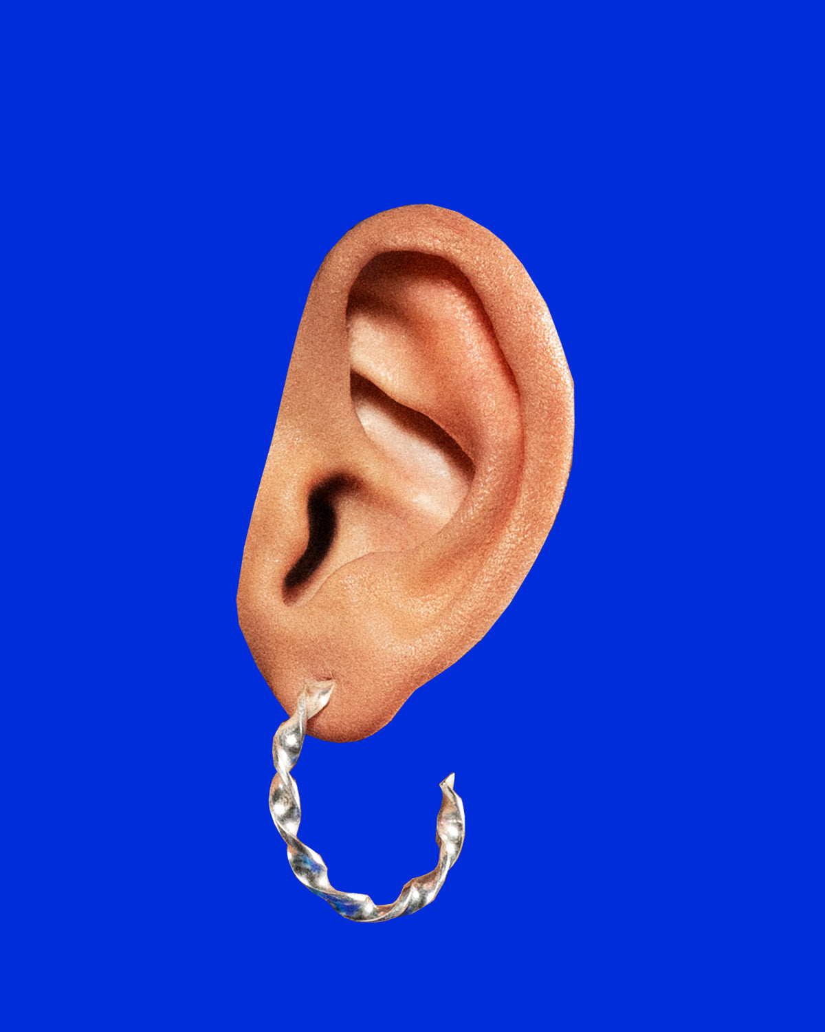 CURLED earrings