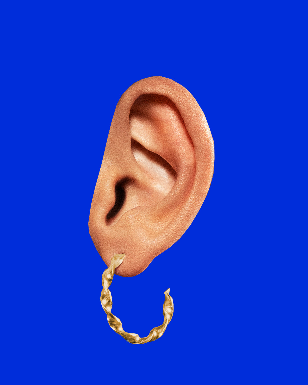 CURLED earrings
